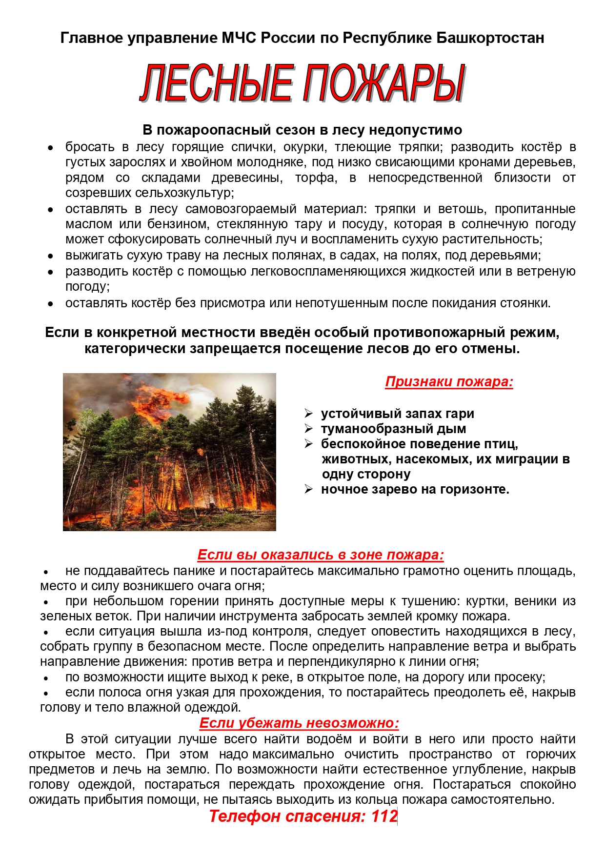 МЧС Памятка Лесные пожары лето 2022_page-0001